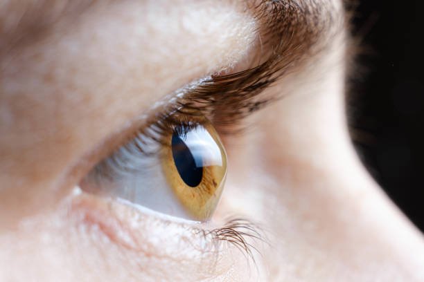 Cornea Diagnosis and Keratoconus Care at Kalyan Eye & Retina Care Centre